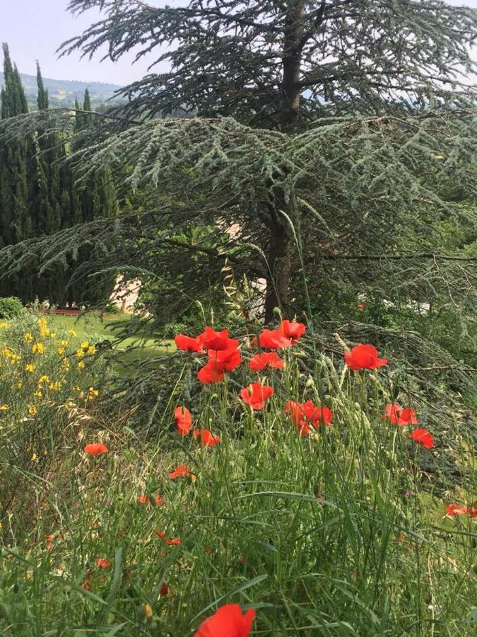 Bed and Breakfast Casale Sant'Elia à Capranica Extérieur photo