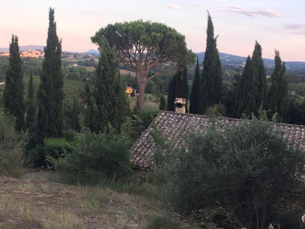 Bed and Breakfast Casale Sant'Elia à Capranica Extérieur photo